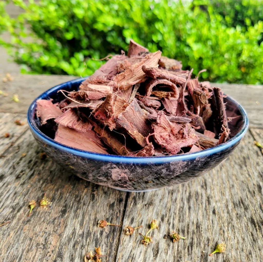 The Ultimate Guide to Mimosa Hostilis Root Bark (2026 Edition)