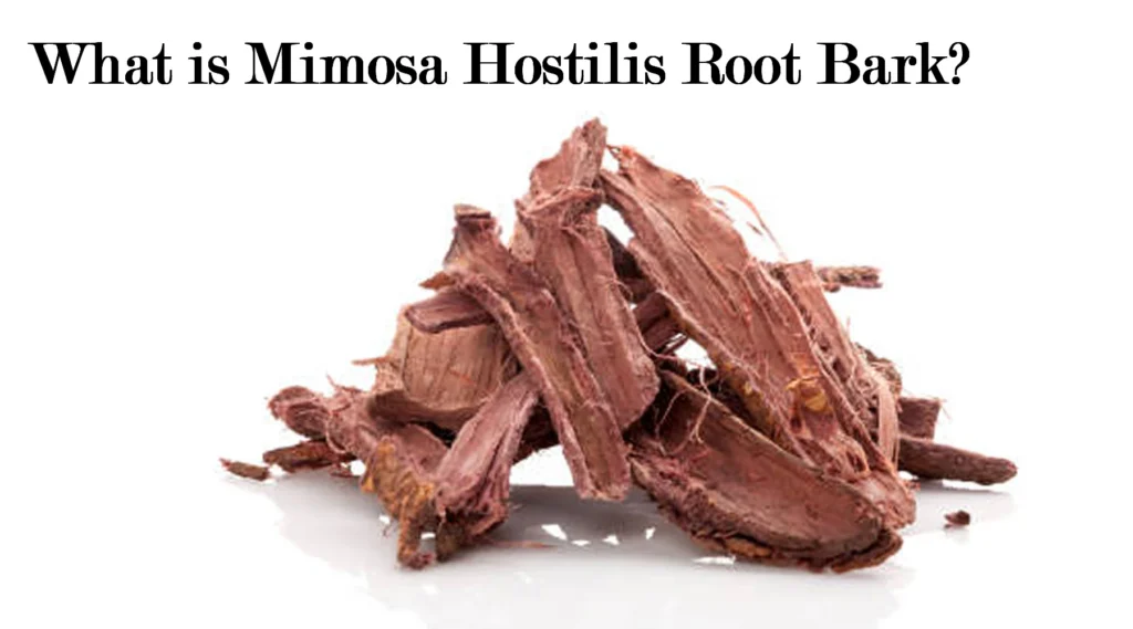 Top Benefits of Mimosa Hostilis Root Bark